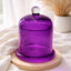 Amethyst Tinted Apothecary Bell Jar