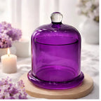 Amethyst Tinted Apothecary Bell Jar
