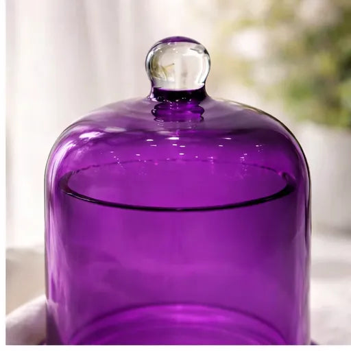Amethyst Tinted Apothecary Bell Jar