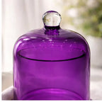 Amethyst Tinted Apothecary Bell Jar